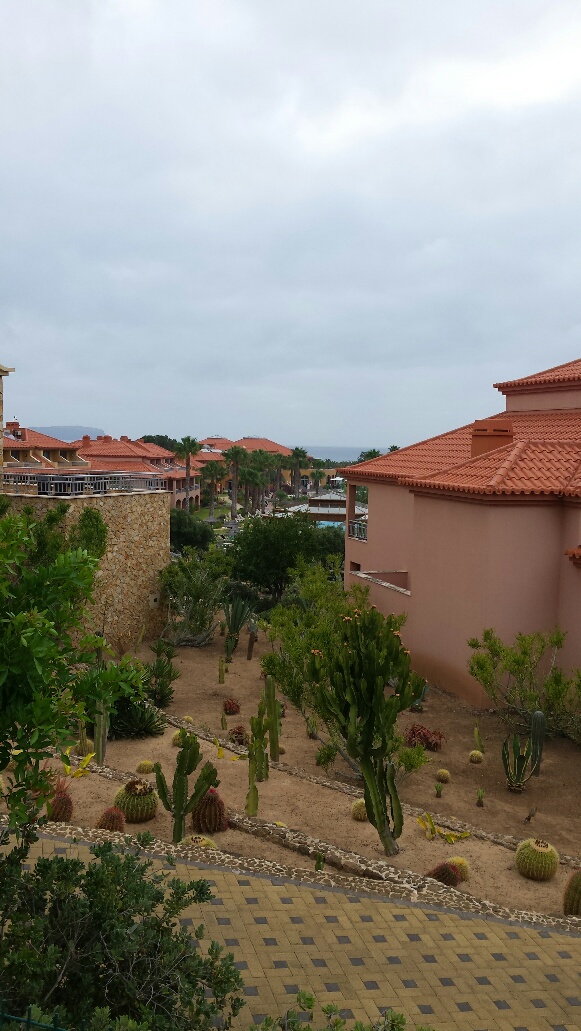 20170618_090328_resized