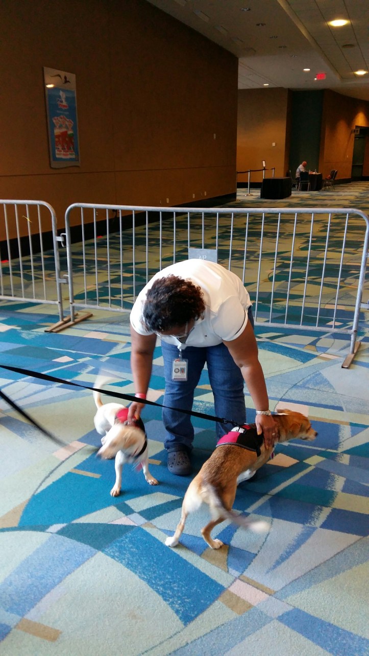 20170916_155657_resized