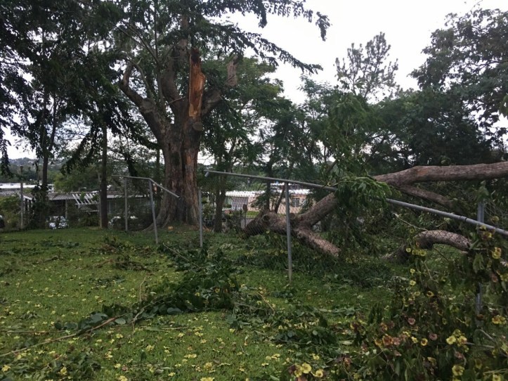 IMG-20170908-WA0007_resized