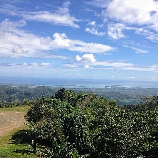 IMG_20170913_234202_862_resized