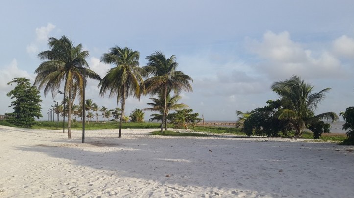 13151485_10156960508715085_821695317676096987_n