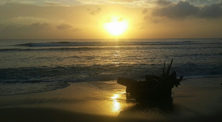 13226725_10156985424775085_120471061239548179_n