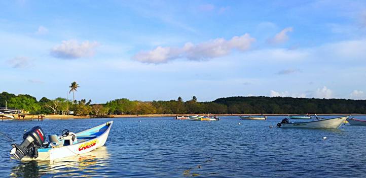 13227842_10156985424335085_6371532483432394557_o