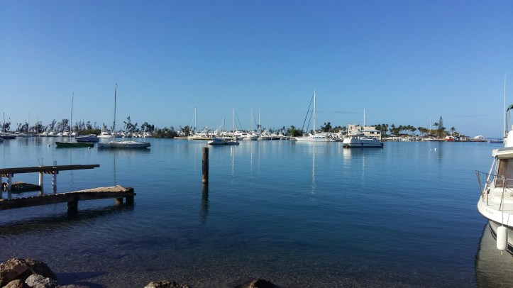 20180330_081637_resized