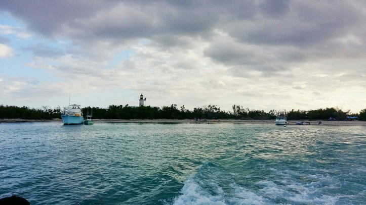 20180330_172039-01_resized