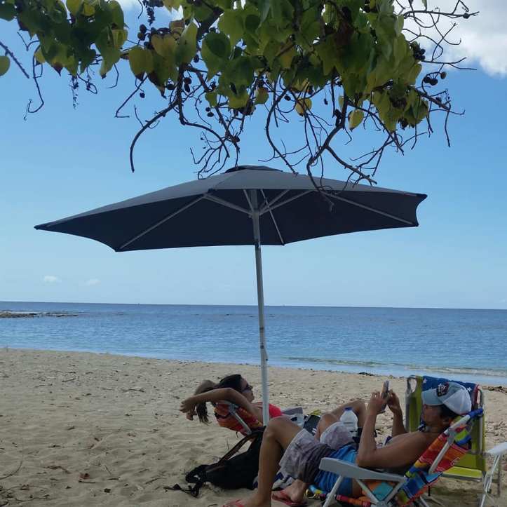 29683292_10156480934418159_424124892360361432_n